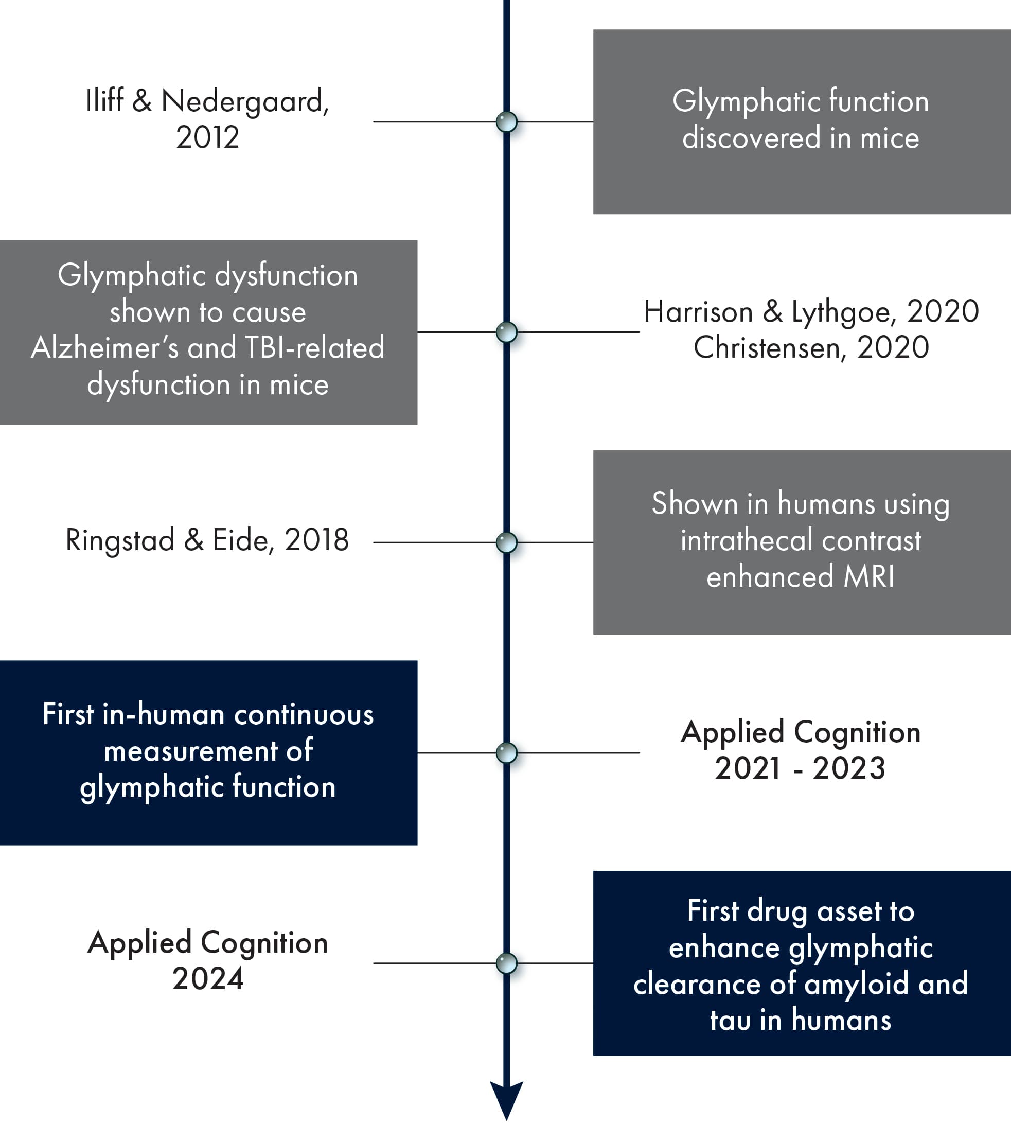 Applied Cognition Inc. Timeline